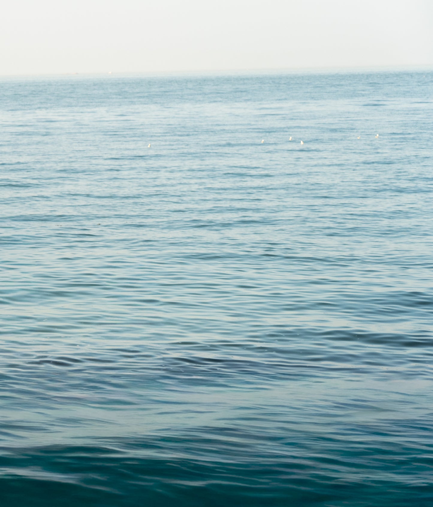 experience: between the summer tides
