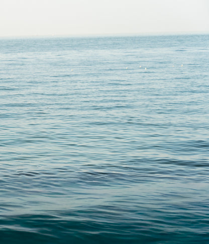 experience: between the summer tides