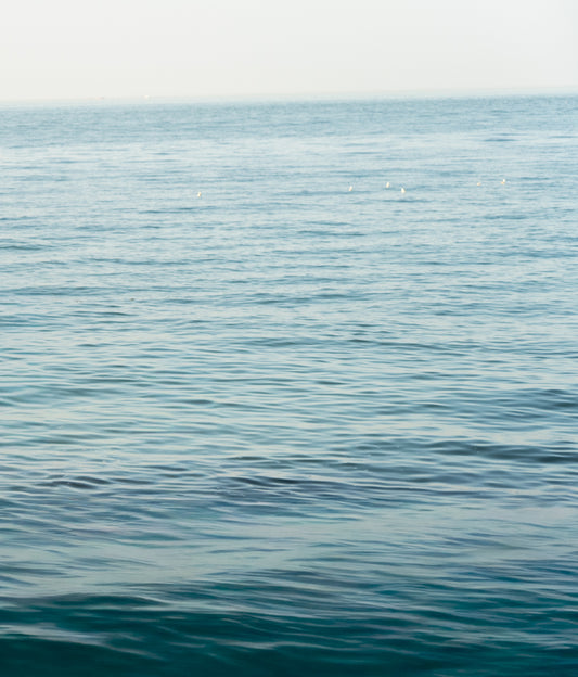 experience: between the summer tides
